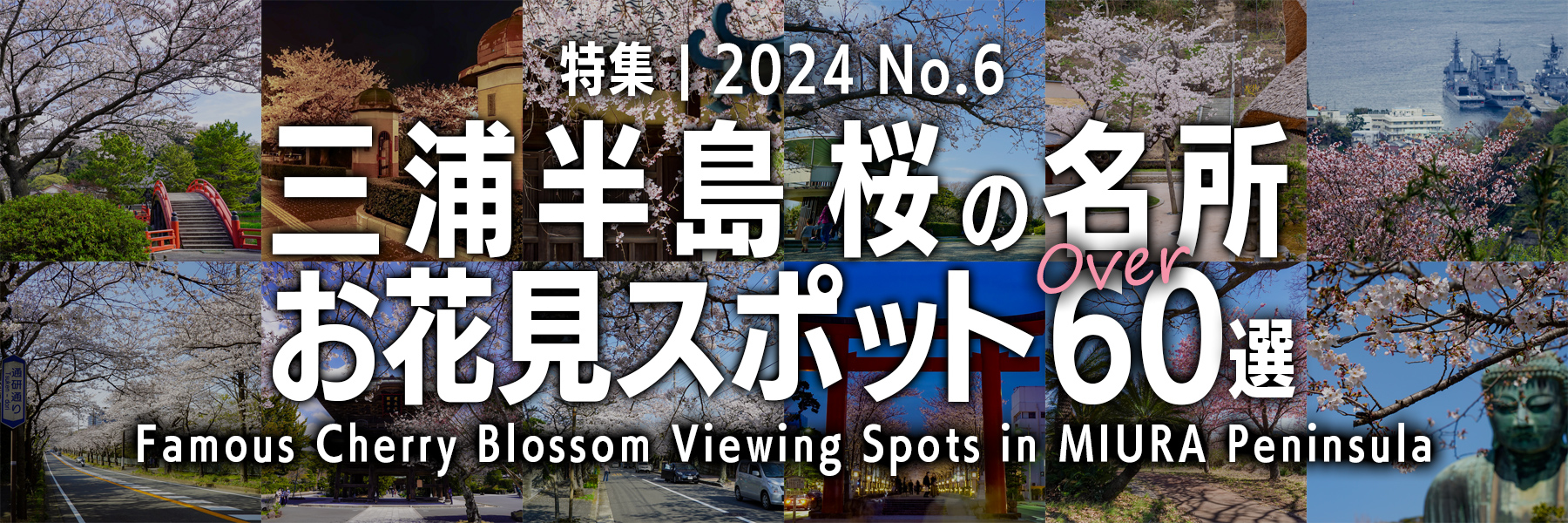【2024 No.6】特集 | 三浦半島桜の名所