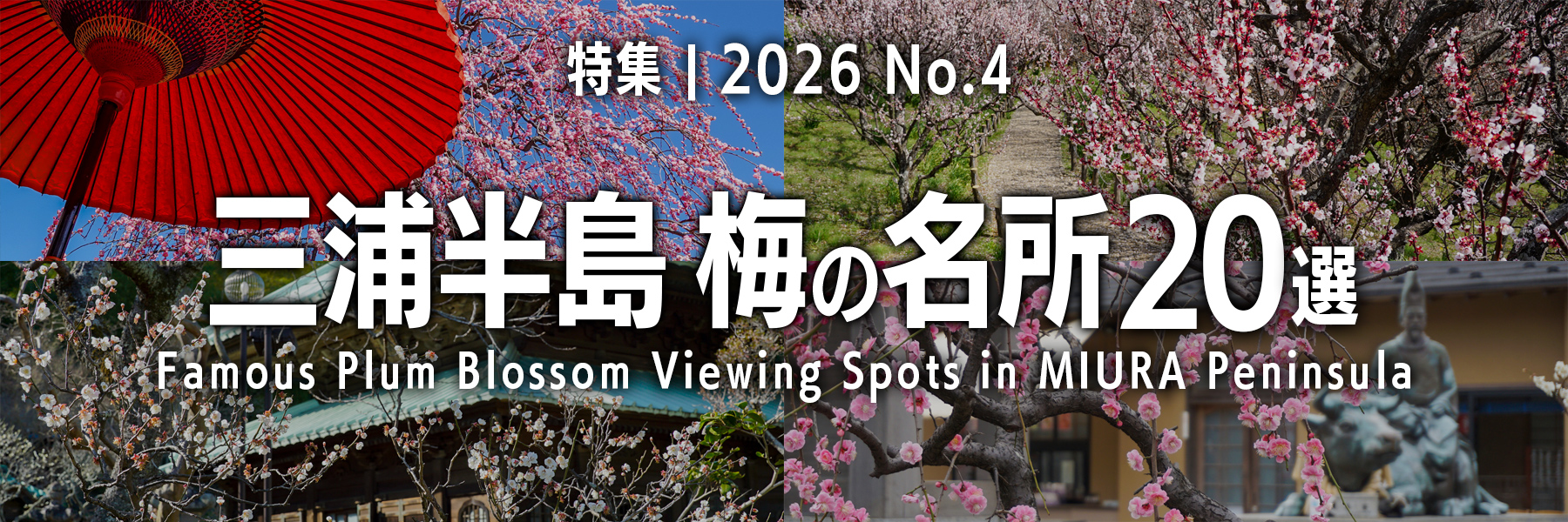 【2026 No.4】特集 | 三浦半島梅の名所