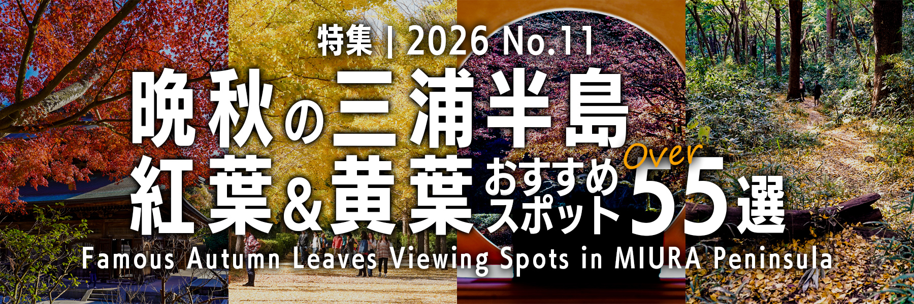 【2026 No.11】特集 | 晩秋の三浦半島・紅葉&黄葉おすすめスポット