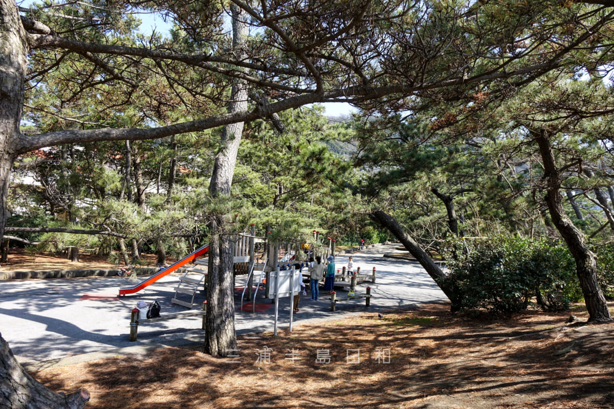 県立葉山公園・松林に囲まれた遊具がある広場（撮影日：2015.03.17）