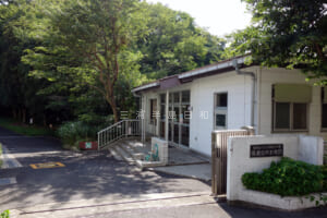 馬堀自然教育園