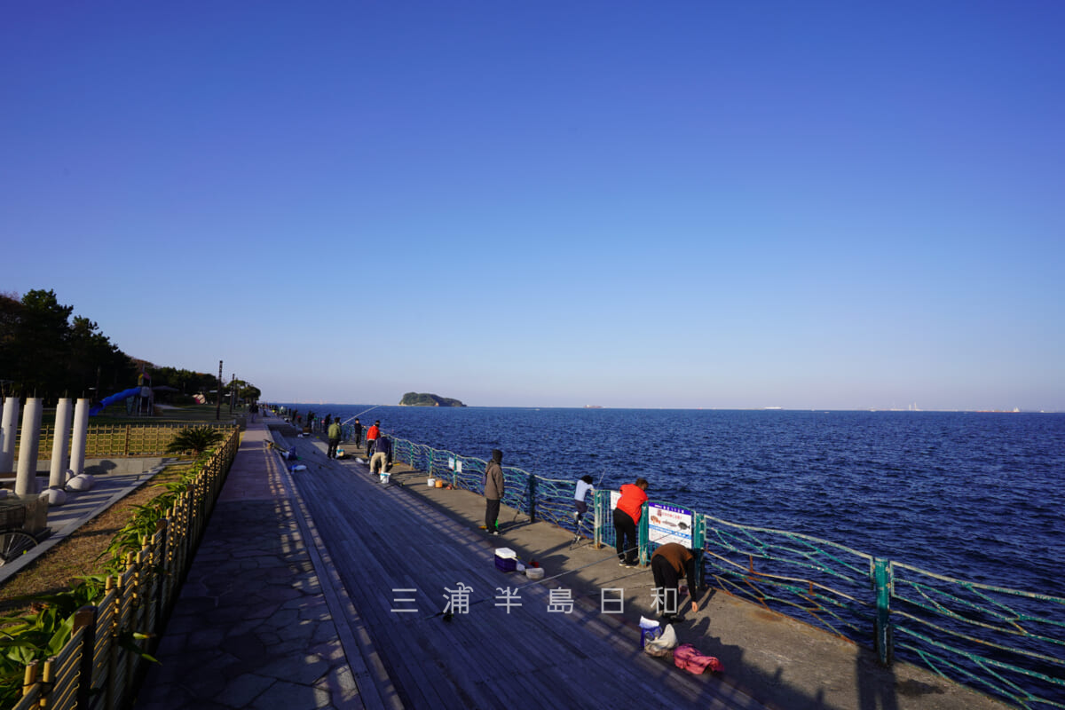海辺つり公園（撮影日：2020.11.17）