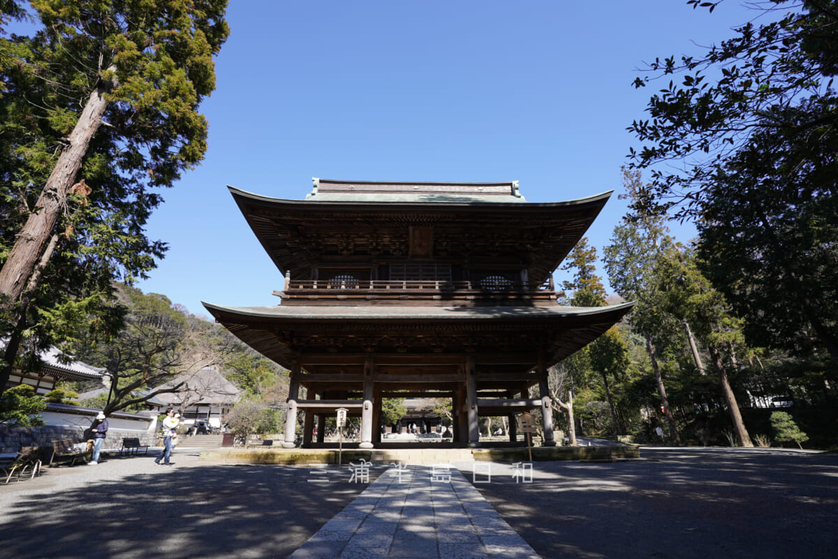 円覚寺・三門(撮影日:2020.03.06)