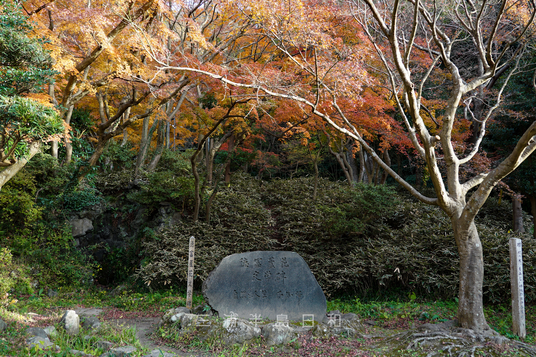蘆花記念公園 | 逗子にゆかりがある徳冨蘆花にちなんだ紅葉の穴場スポット