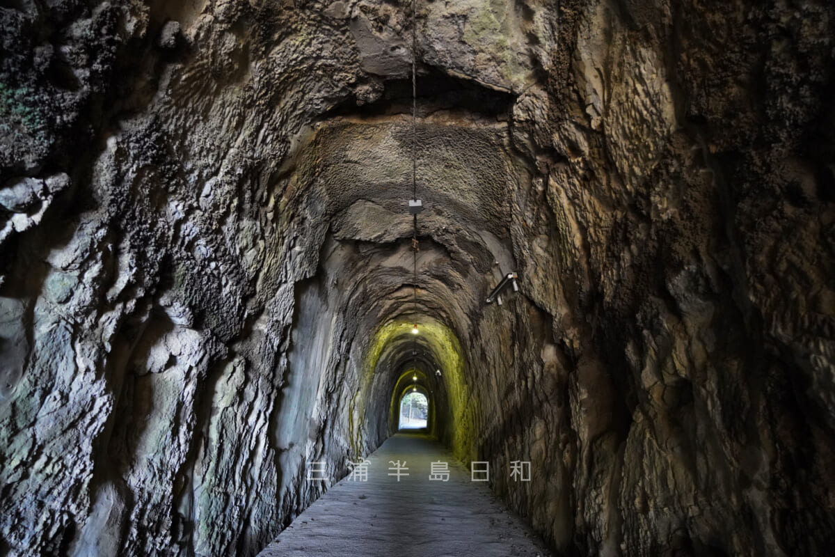 県立観音崎公園・展望園地と海岸園地を結ぶトンネル(撮影日:2020.10.21)