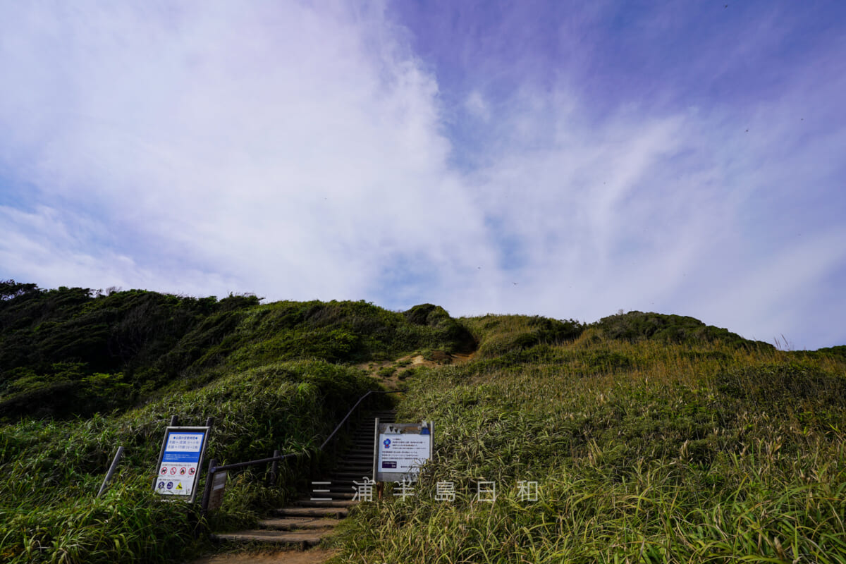 長井海の手公園ソレイユの丘と海を結ぶ散策路（撮影日：2020.08.13）