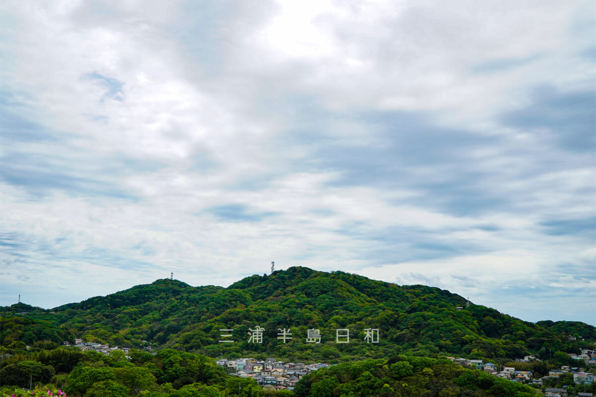 武山・太田和つつじの丘から望む（撮影日：2019.04.29）