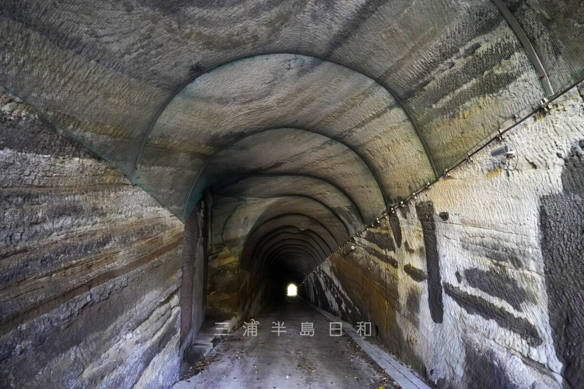 県立観音崎公園・観音崎第二砲台(北門第二砲台)跡付近から続くトンネル(立入禁止)(撮影日:2020.10.21)