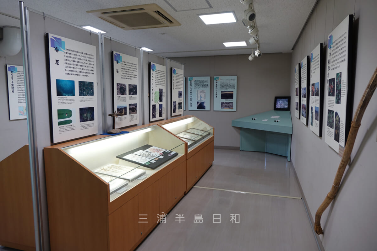 天神島臨海自然教育園・展示室（撮影日：2015.04.26）