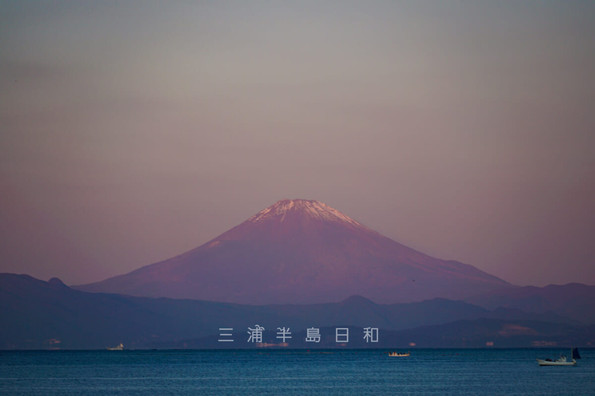 立石公園から望む薄っすらと朝焼けした秋の富士山（撮影日：2020.10.31）