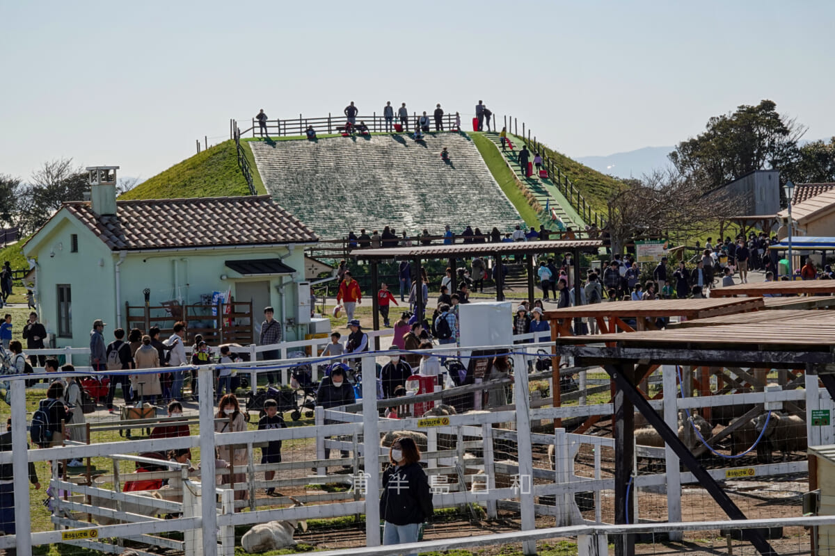 長井海の手公園ソレイユの丘・ふれあい動物村と芝そりゲレンデ（撮影日：2020.03.20）