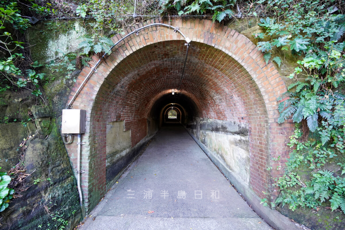 県立観音崎公園・海の見晴らし台(第三砲台跡)へと続くトンネル(撮影日:2020.10.21)