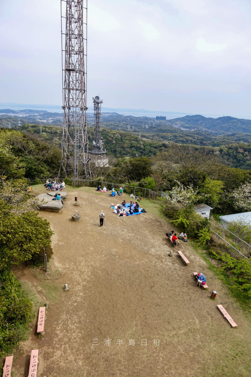 大楠山山頂（撮影日：2015.04.12）