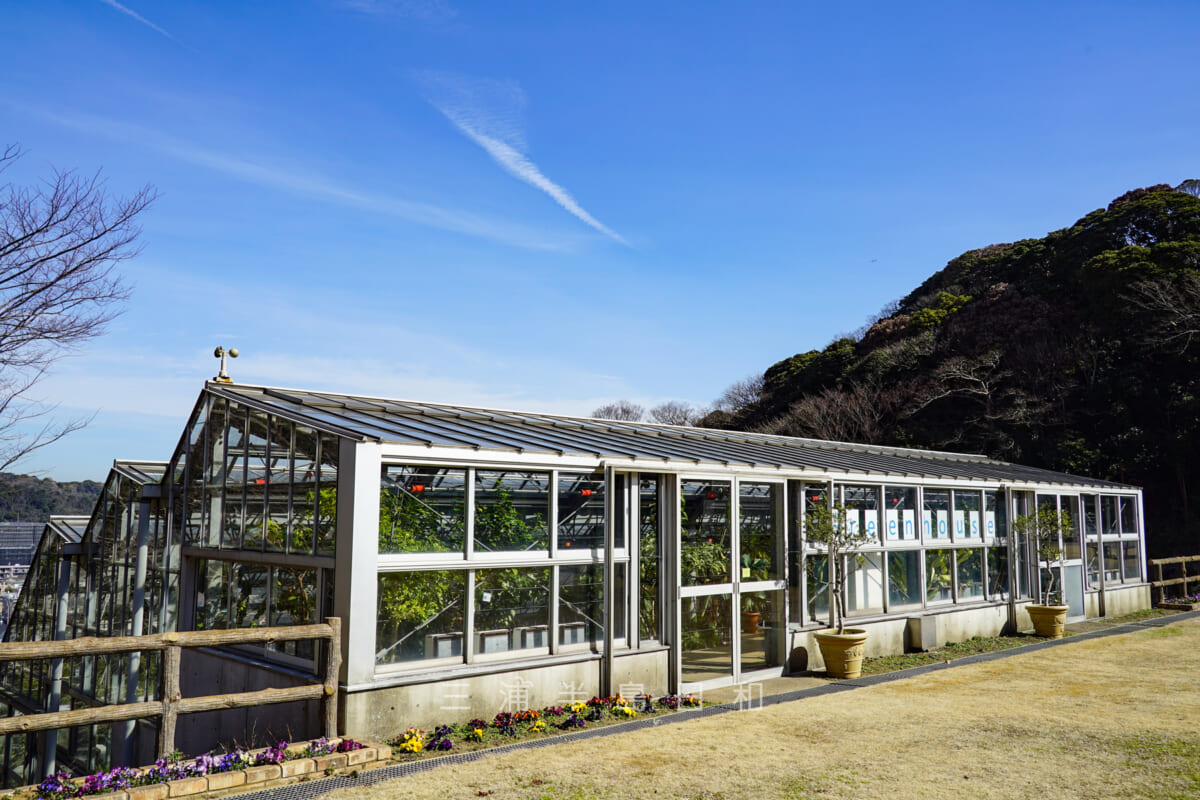 くりはま花の国・ハーブ園の温室「Green house」（撮影日：2021.02.10）