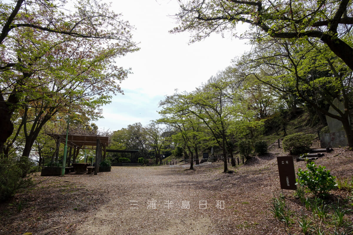 衣笠山公園・中腹にある広場（撮影日：2015.04.12）