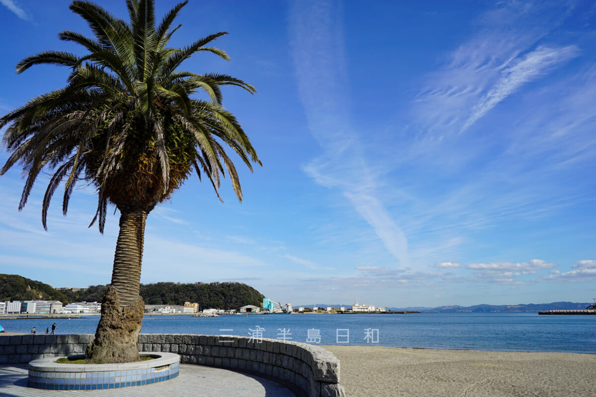 ペリーとの親書受け渡しが行われたペリー公園前の久里浜海岸(撮影日:2021.02.10)