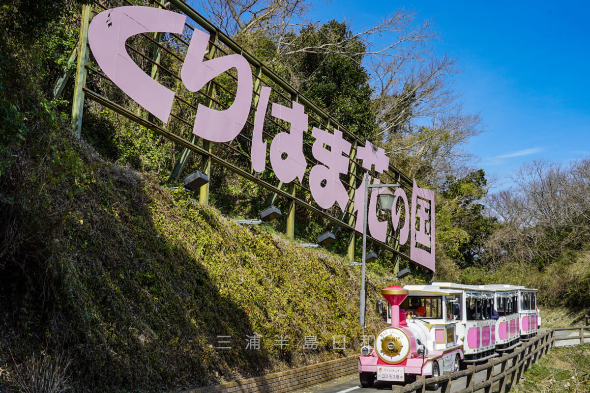 くりはま花の国・公園内の移動に便利なフラワートレイン「コスモス号」(撮影日:2021.02.10)