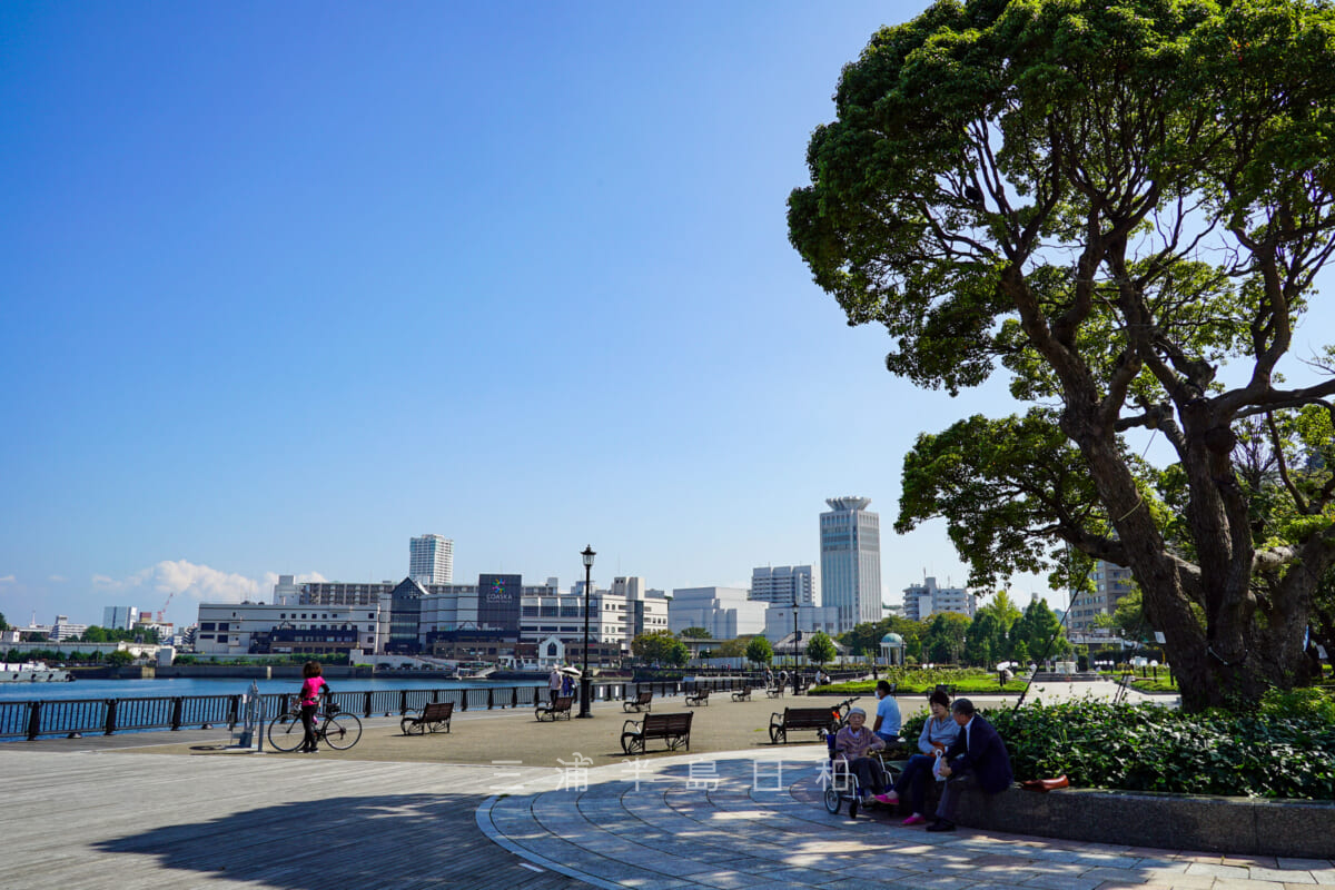 ヴェルニー公園・ショッピングモール「コースカ・ベイサイド・ストアーズ」や「横須賀芸術劇場」方面を望む(撮影日:2020.10.02)