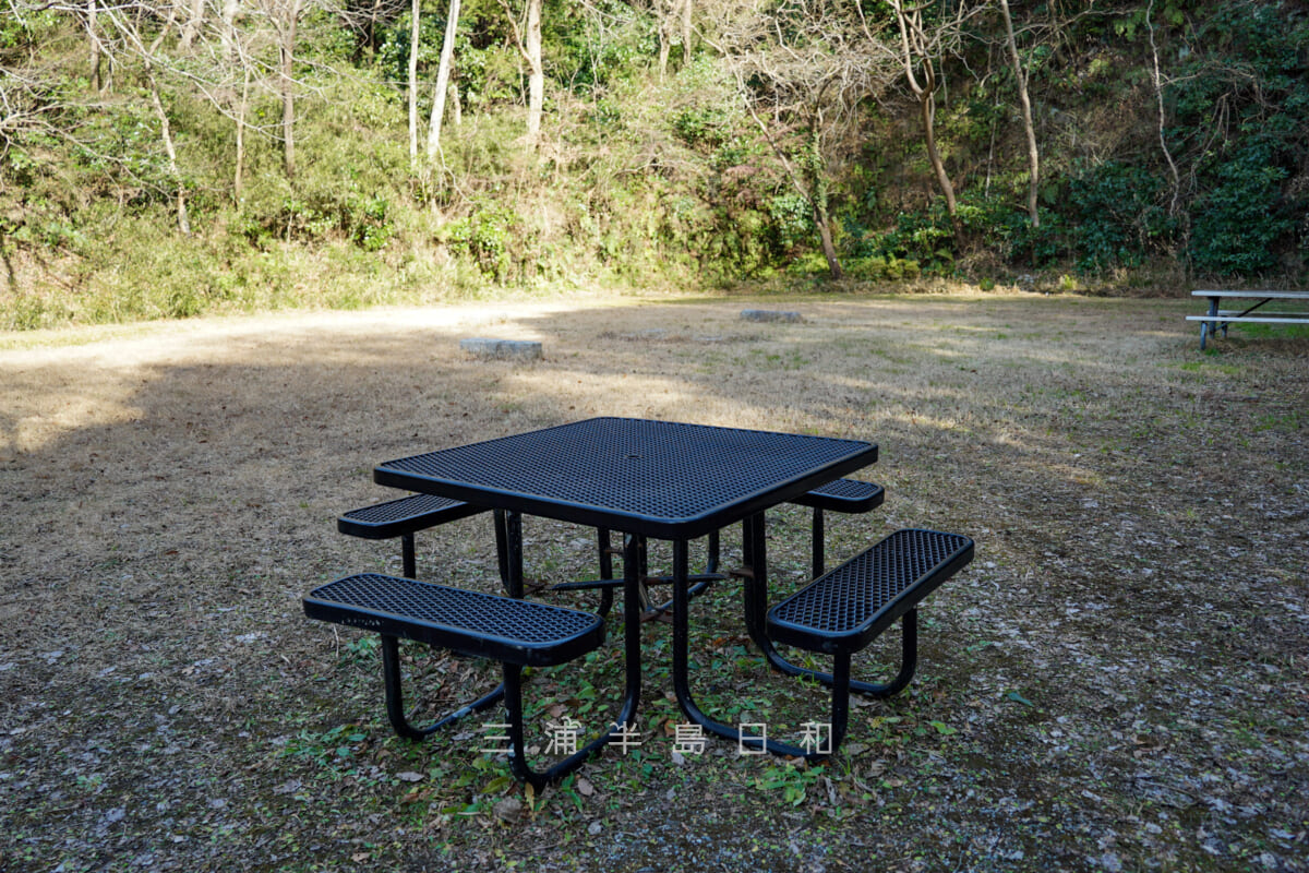 池子の森自然公園・緑地エリア・ベンチ(撮影日:2021.01.16)