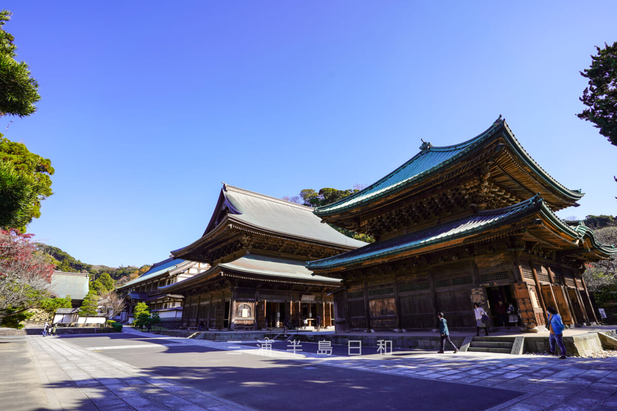 建長寺・仏殿、法堂、方丈が直線的に並ぶ(撮影日:2020.12.08)