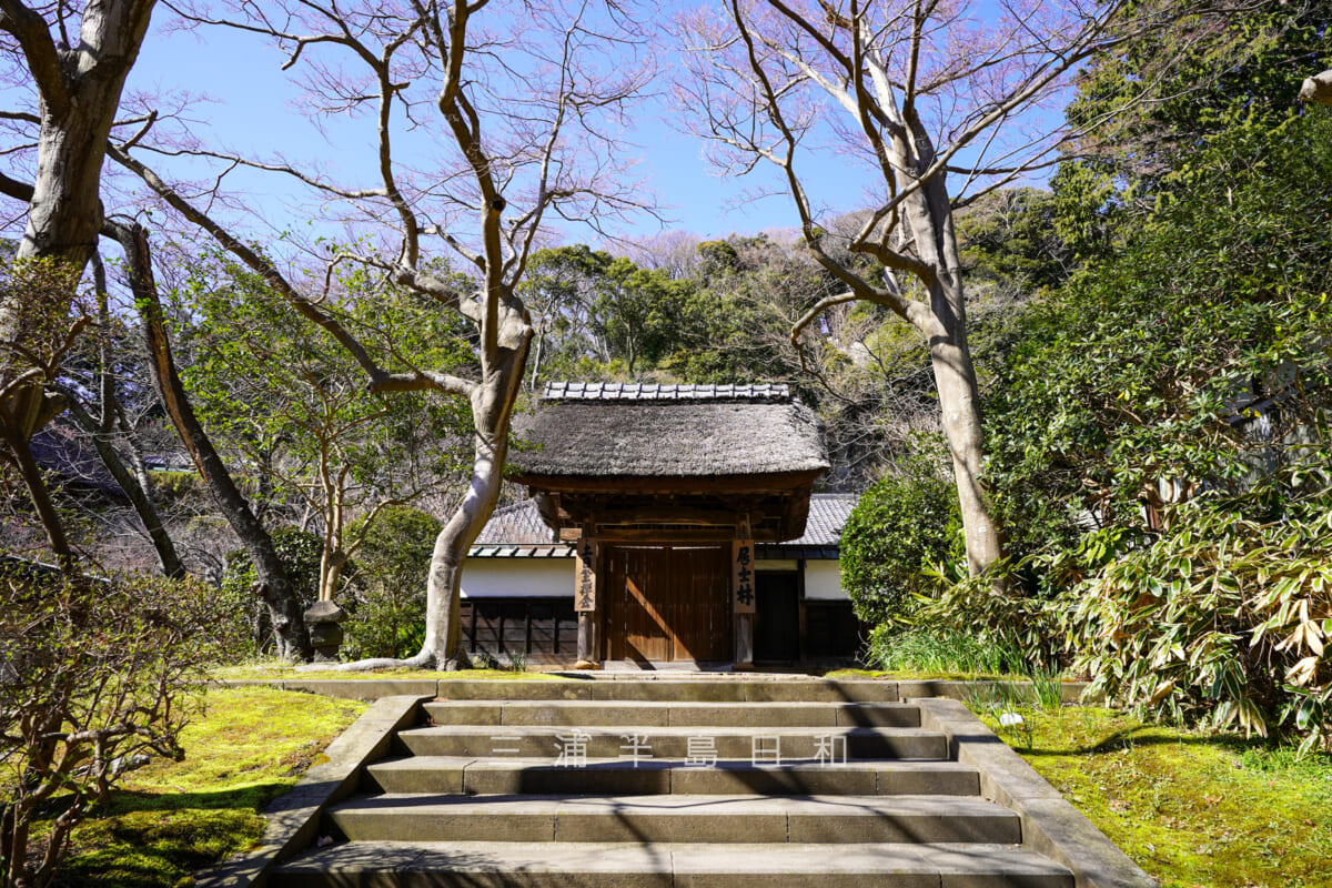 円覚寺・居士林（撮影日：2020.03.06）