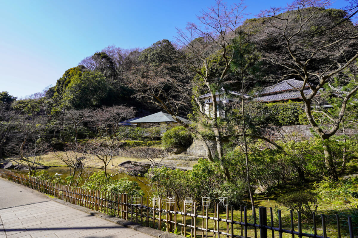 円覚寺・妙香池(撮影日:2020.03.06)