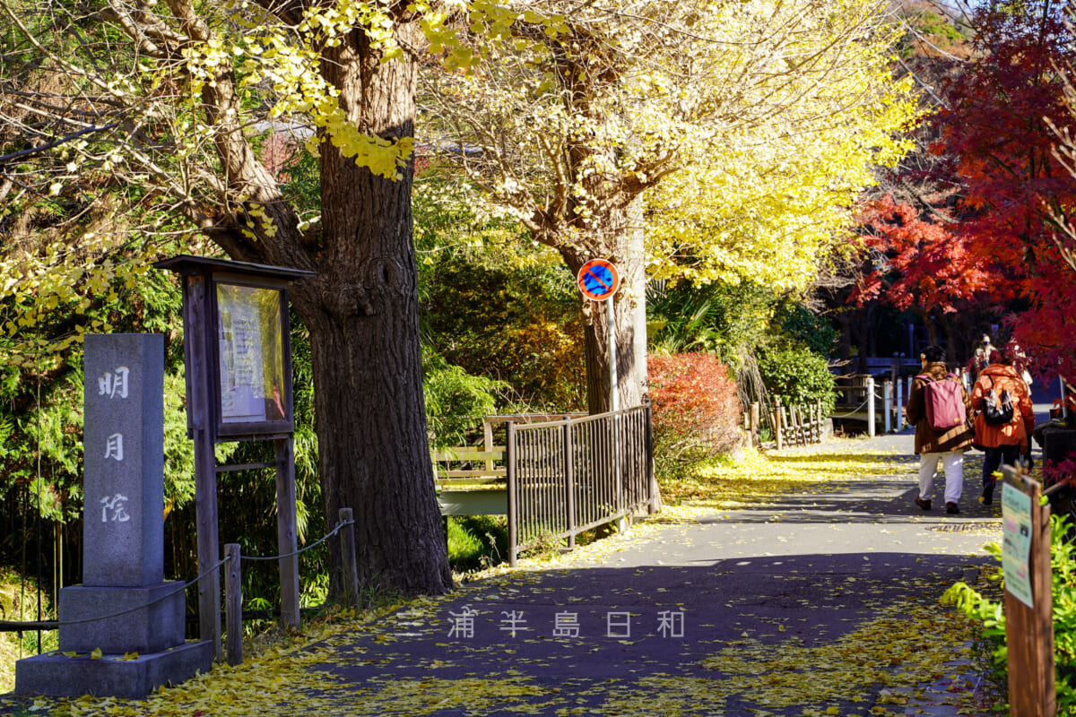 明月院・明月院に続く参道の入口(撮影日:2020.12.16)