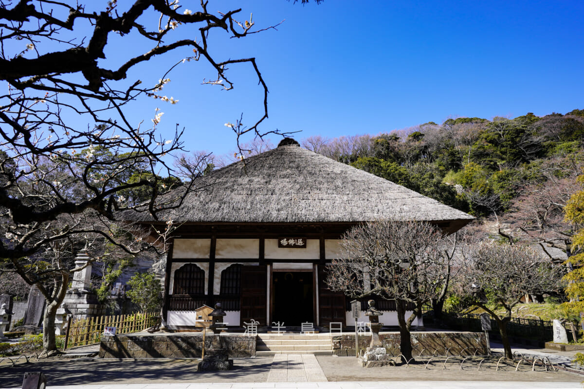 円覚寺・選仏場(撮影日:2020.03.06)