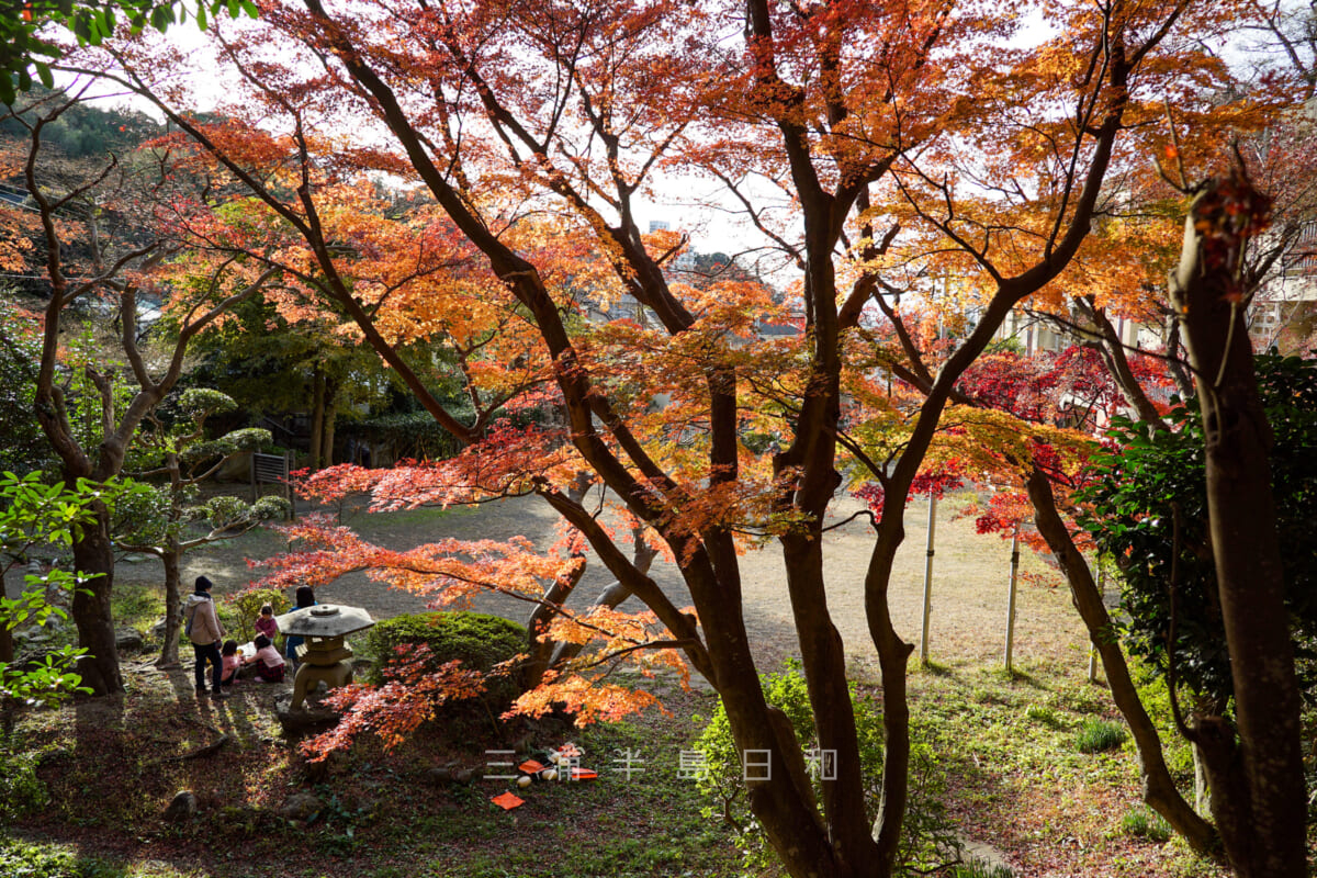 蘆花記念公園 逗子にゆかりがある徳冨蘆花にちなんだ公園 蘆花記念公園 逗子にゆかりがある徳冨蘆花にちなんだ公園