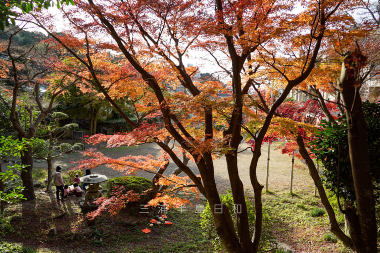 蘆花記念公園 | 逗子にゆかりがある徳冨蘆花にちなんだ公園