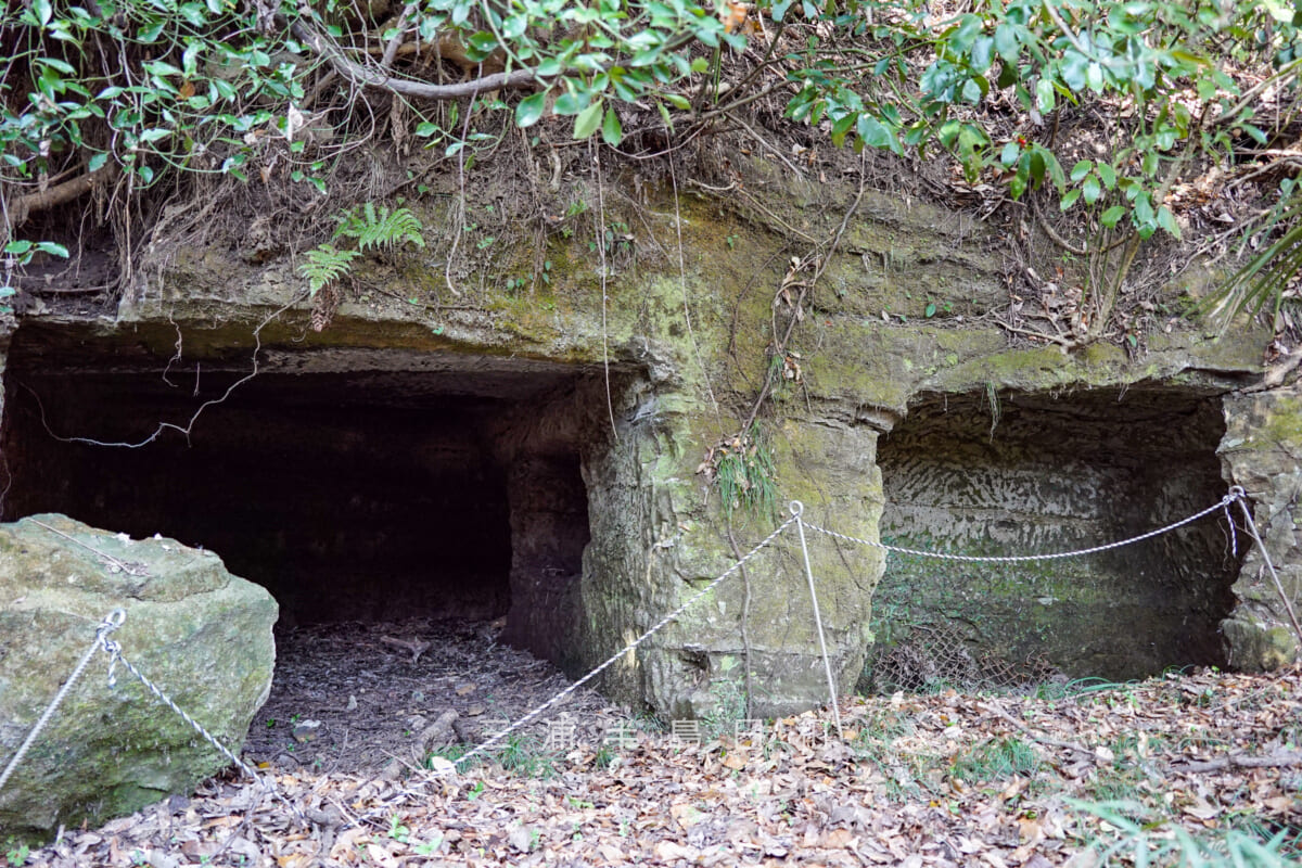 池子の森自然公園・緑地エリア・やぐら(撮影日:2021.01.16)
