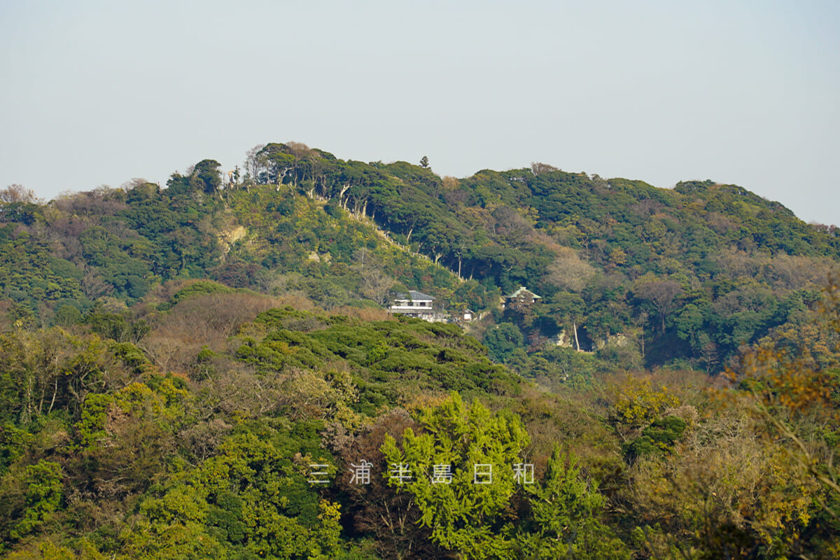 建長寺・源氏山公園より勝上献展望台方面を望む、中央の建物が半僧坊の社務所でその左上の頂が勝上献展望台（撮影日：2020.12.01）