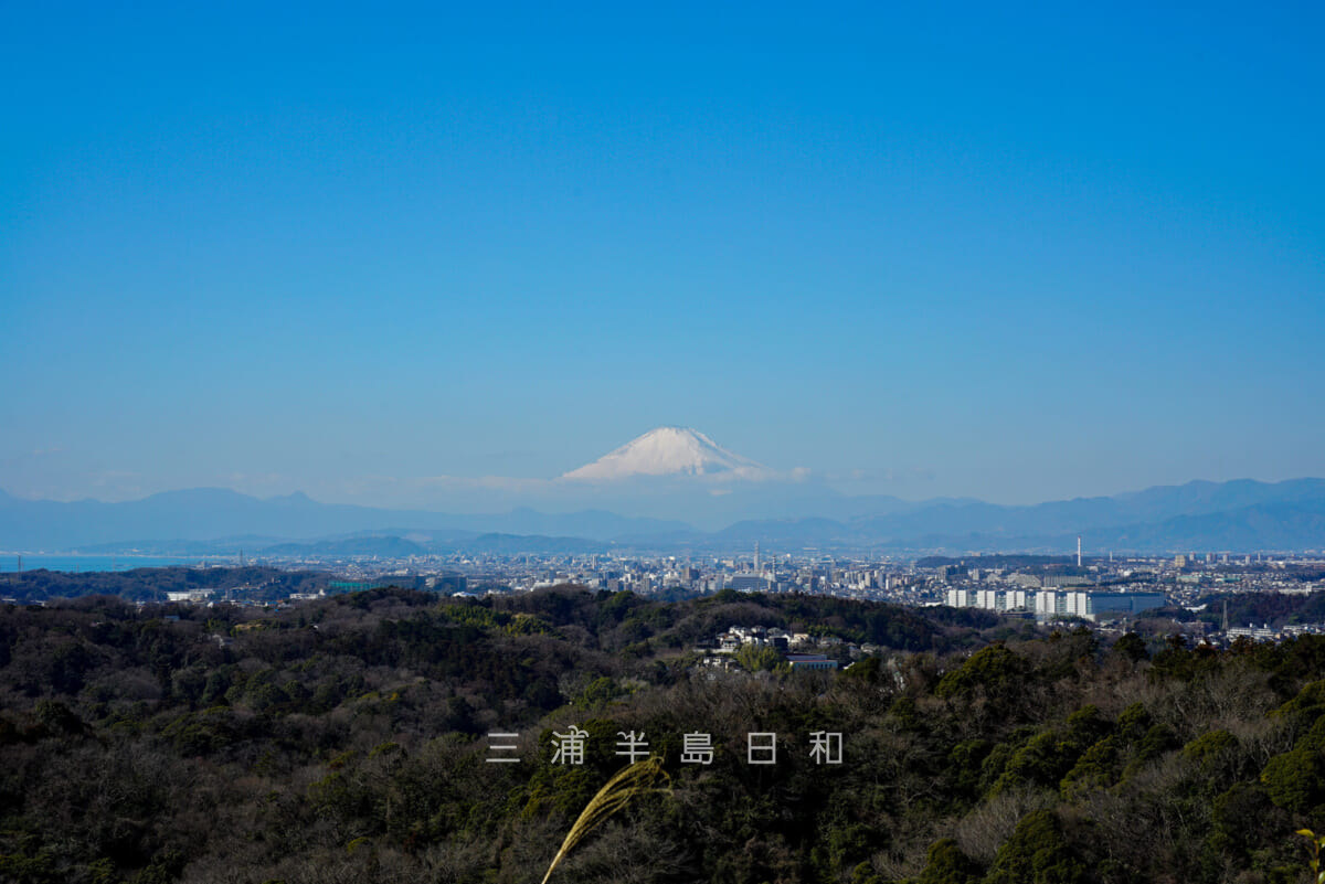建長寺・勝上献展望台より富士山を望む(撮影日:2021.02.05)