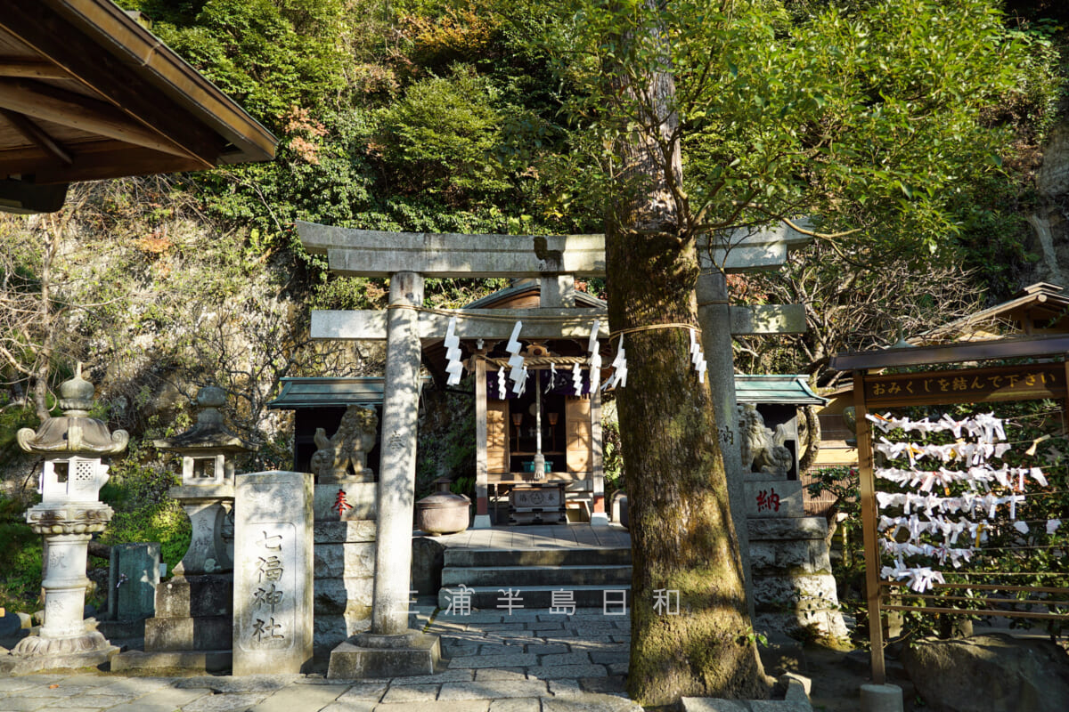 銭洗弁財天宇賀福神社・七福神社(撮影日:2020.12.01)