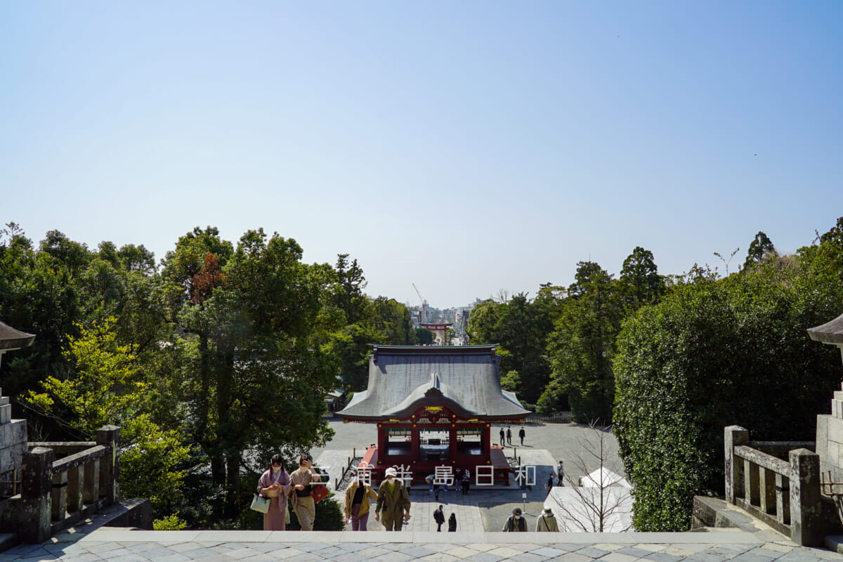 鶴岡八幡宮・本宮前から若宮大路を望む(撮影日:2021.03.16)