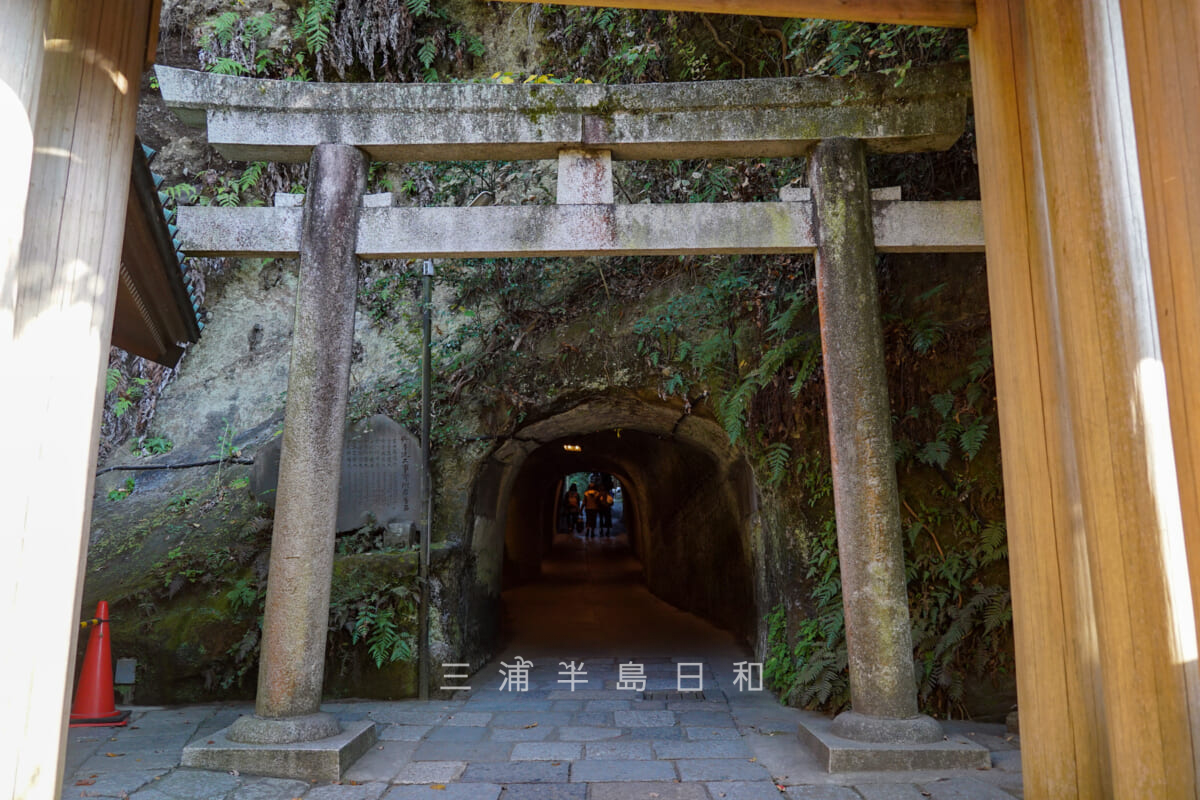 銭洗弁財天宇賀福神社・境内入口のトンネル(境内側)(撮影日:2020.12.01)