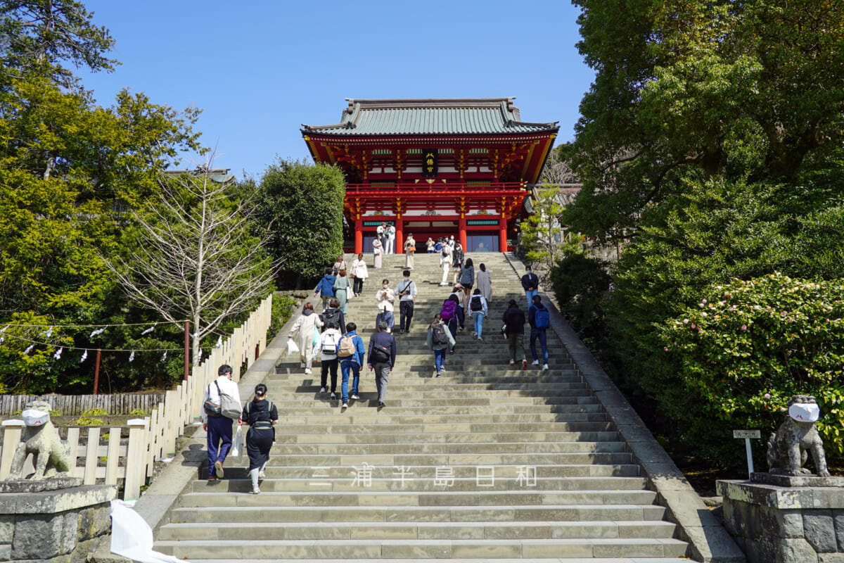 鶴岡八幡宮・大石段の下から本宮を見上げる（撮影日：2021.03.16）