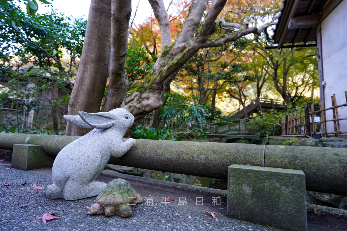 明月院・うさぎの石像（撮影日：2020.12.08）