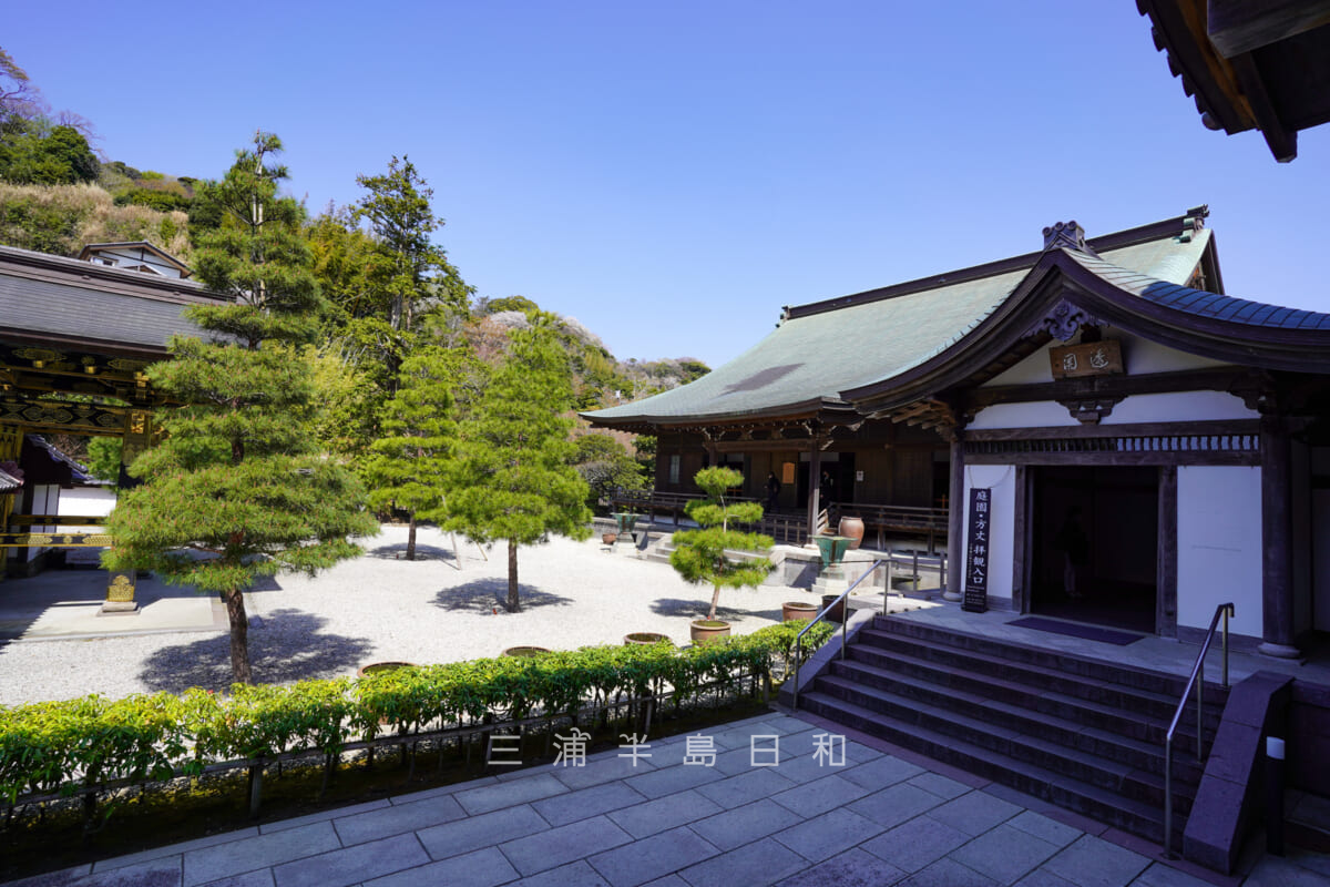 建長寺・方丈(龍王殿)(撮影日:2021.03.26)