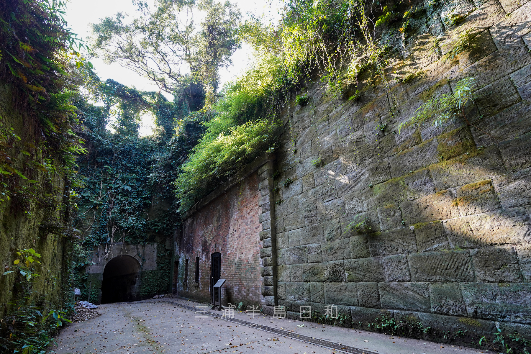 猿島 ラピュタの世界と形容される東京湾唯一の無人の自然島 猿島 ラピュタの世界と形容される東京湾唯一の無人の自然島