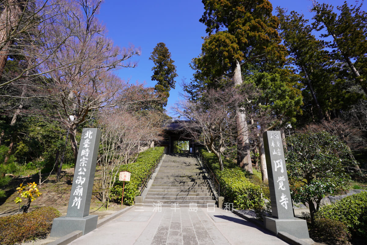 円覚寺・JR横須賀線の踏切前から総門を見上げる(撮影日:2020.03.06)