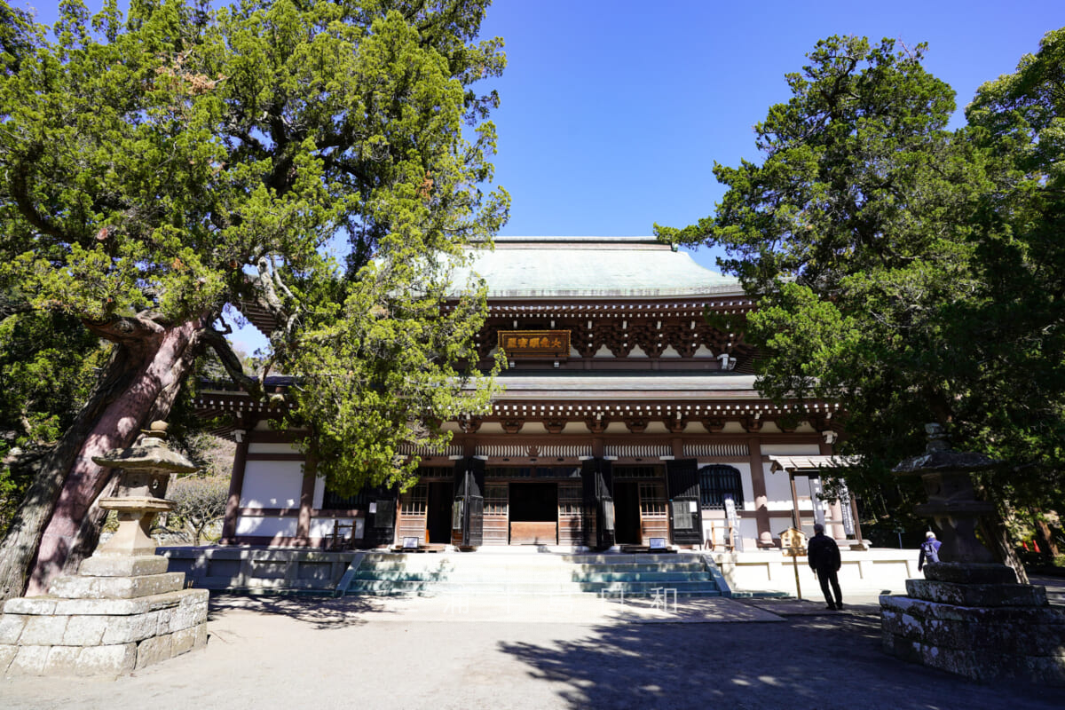 円覚寺・仏殿(撮影日:2020.03.06)