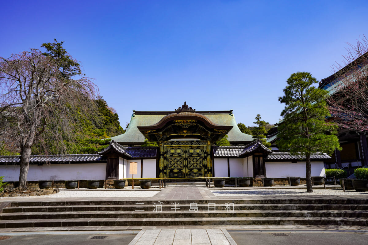 建長寺・唐門（撮影日：2021.03.26）