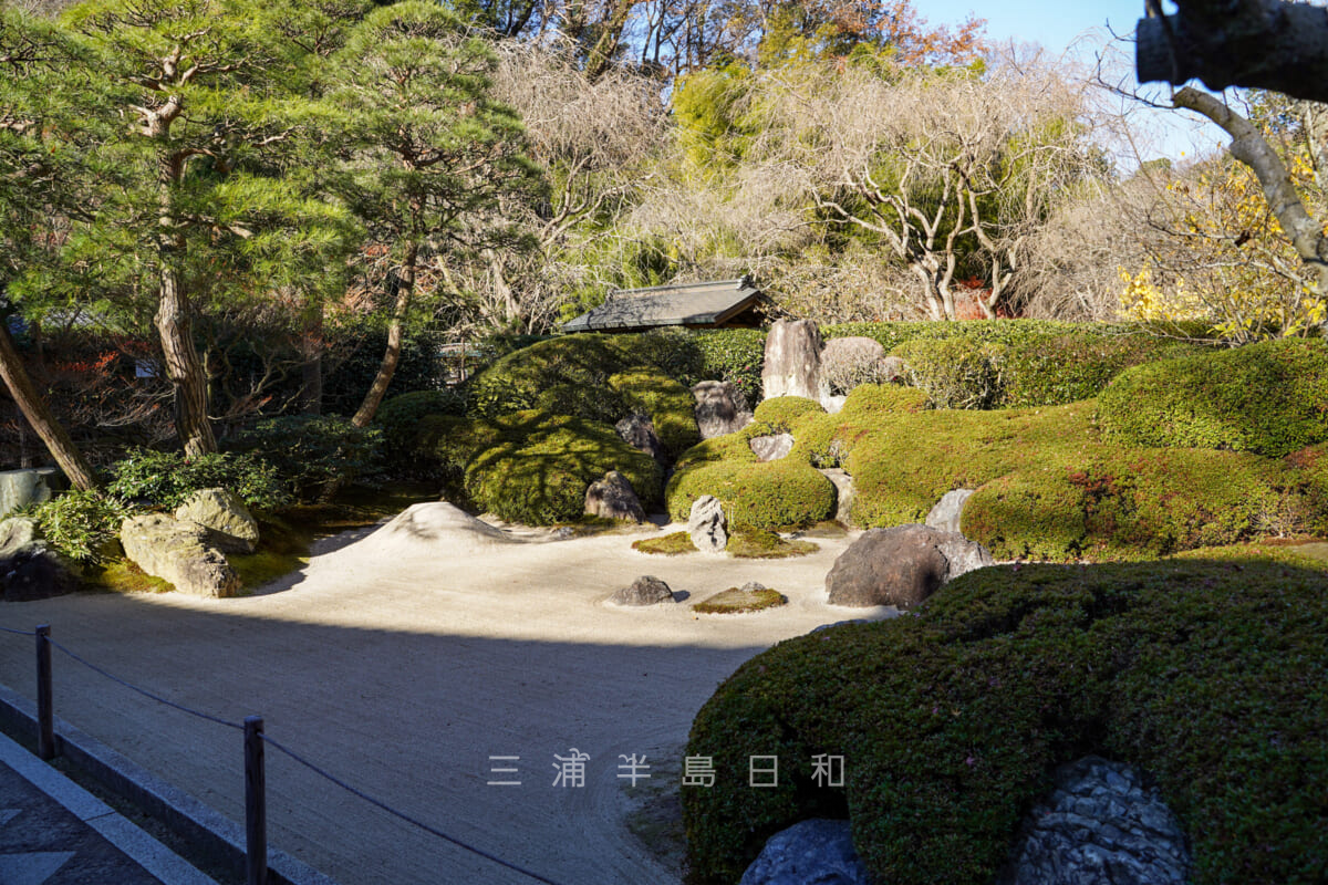 明月院・枯山水庭園（撮影日：2020.12.16）