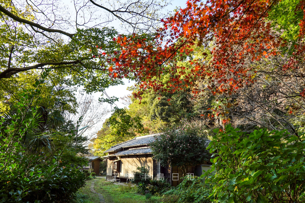 蘆花記念公園 逗子にゆかりがある徳冨蘆花にちなんだ公園 蘆花記念公園 逗子にゆかりがある徳冨蘆花にちなんだ公園