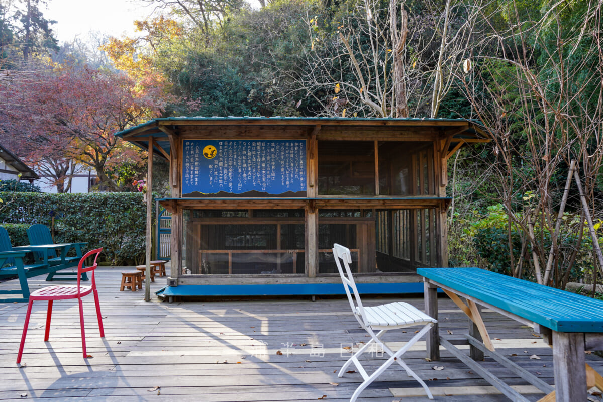 明月院・うさぎ小屋(撮影日:2020.12.08)