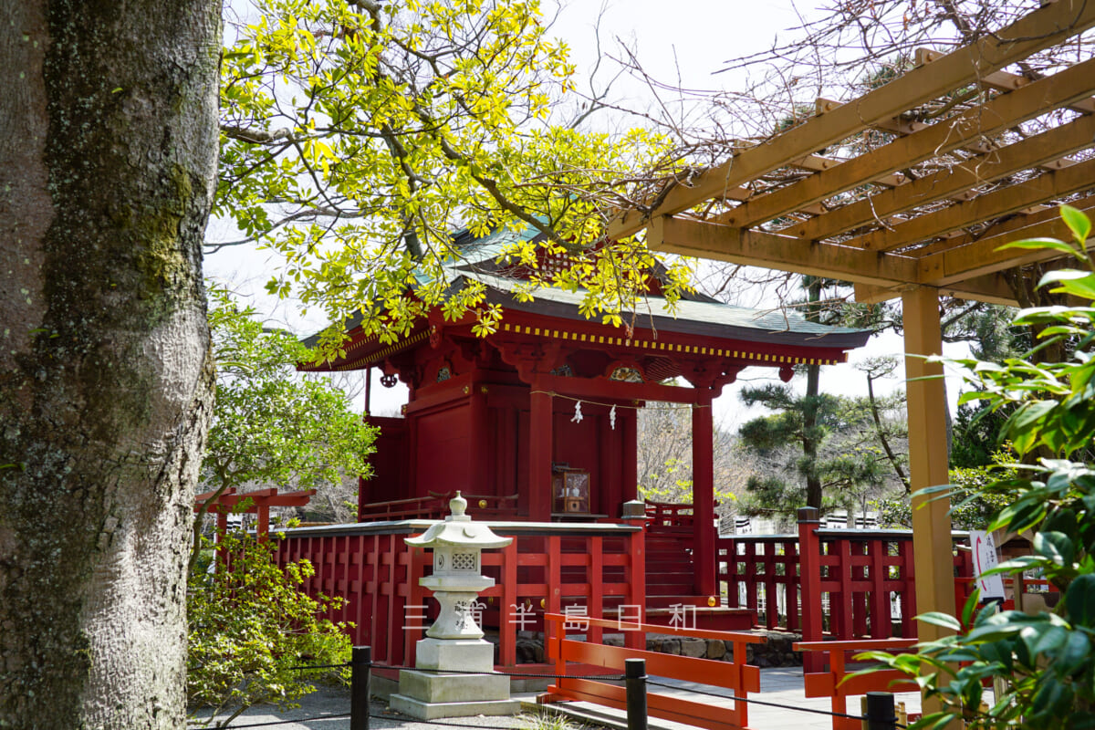 鶴岡八幡宮・旗上弁財天社(撮影日:2021.03.16)