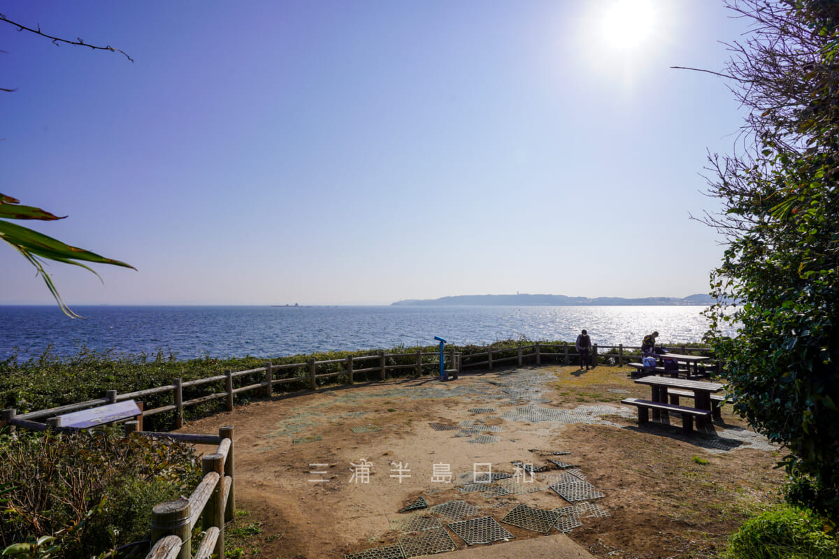 猿島・オイモノ鼻広場(卯ノ崎台場跡)(撮影日:2020.11.17)
