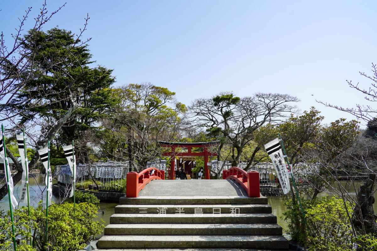 鶴岡八幡宮・旗上弁財天社が鎮座する源平池の島を望む（撮影日：2021.03.16）