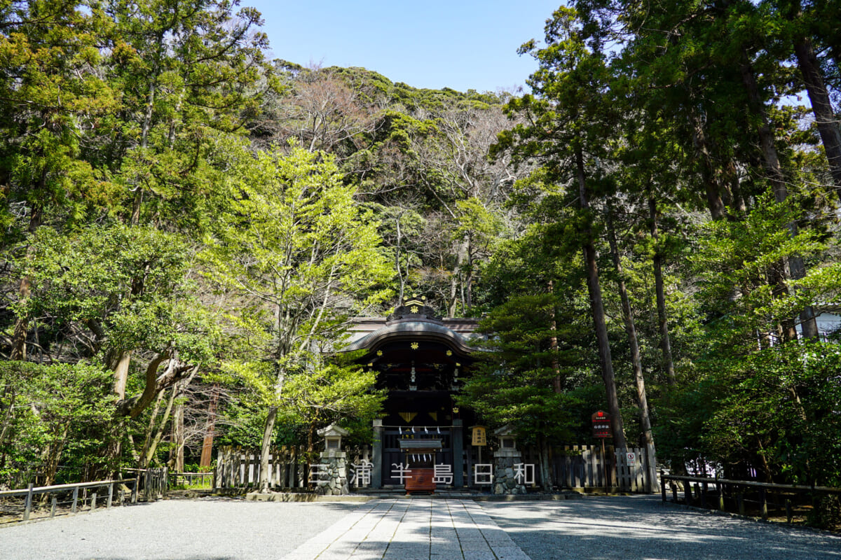 鶴岡八幡宮・白旗神社(撮影日:2021.03.16)
